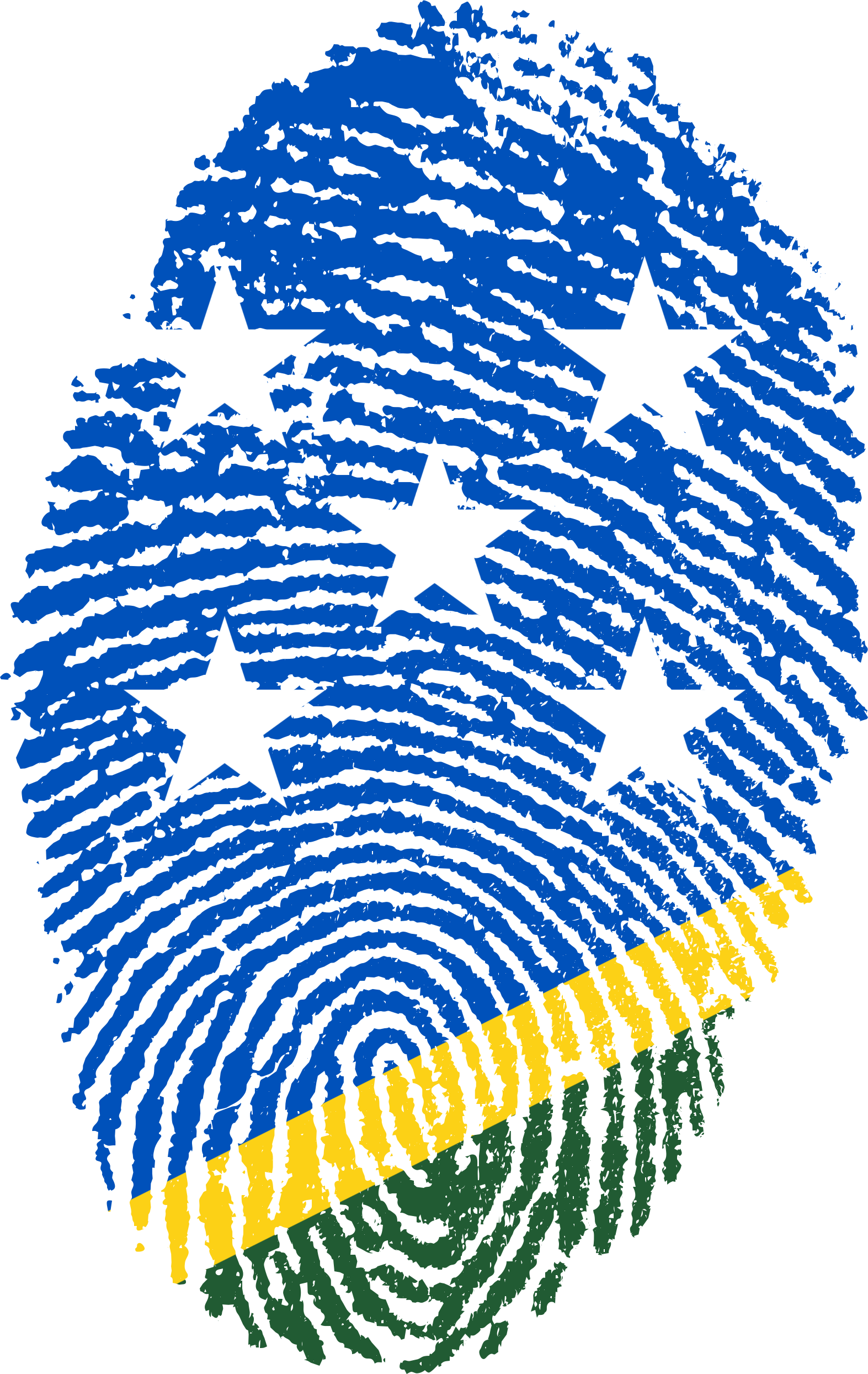 sol-fingerprint